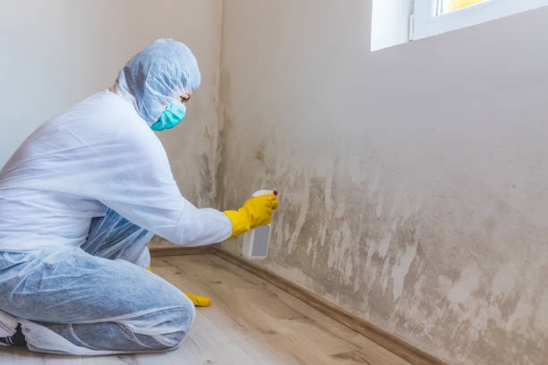 Mold inspector in West Linn performing thermal imaging